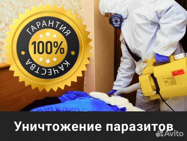 Уничтожение клопов, клещей, тараканов, ос, кротов
