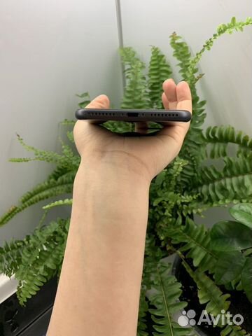 iPhone 8+ iPhone 8+
