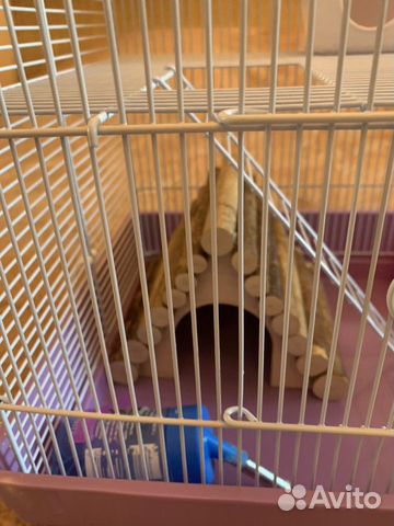 Клетка для грызунов Клетка для грызунов