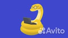 Udemy. С нуля до профессионала. Python 2020. Курс