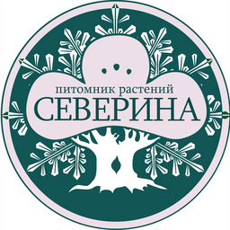 Северин Питомник Официальный Сайт Интернет Магазин
