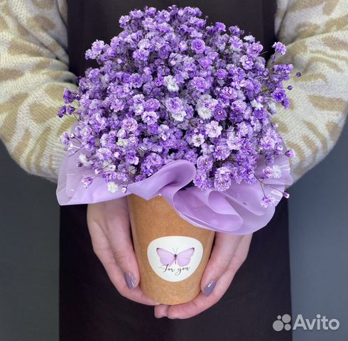 Цветы гипсофила