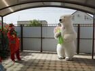 Медведи белый бурый панда котик аниматор клоун объявление продам