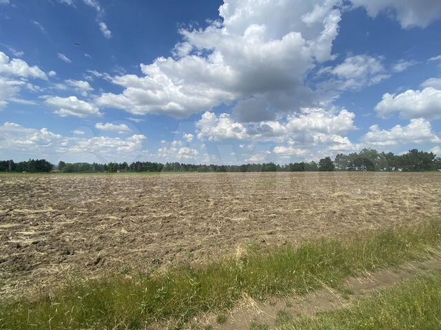 Участок 3,96 га (СНТ, ДНП)