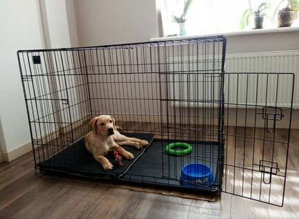 Клетка Для Собак Кошек Клетка Для Животных