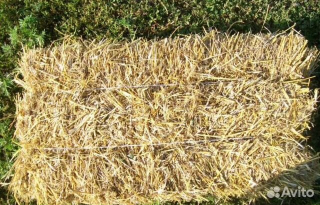 Солома ячменная и пшеничная в тюках возм доставка