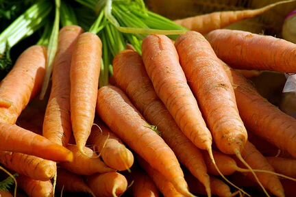 Сборщик моркови