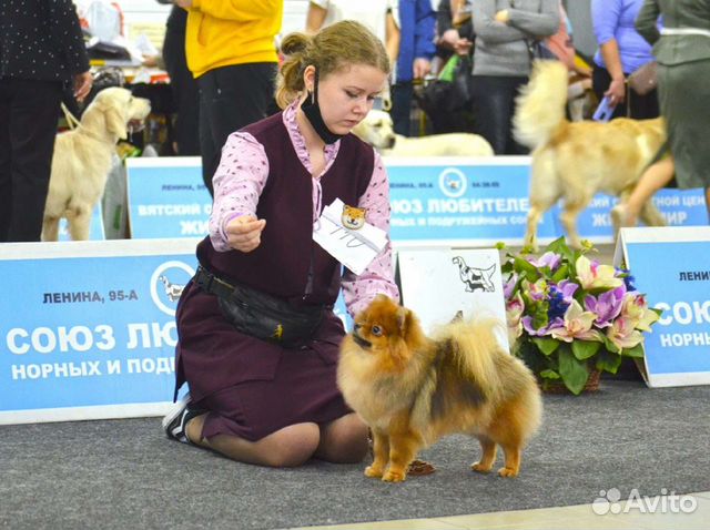 Услуги хендлера