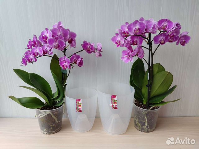 Кашпо для цветов Орхидея