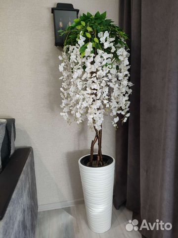 Искусственные деревья глициния, манго, фикус