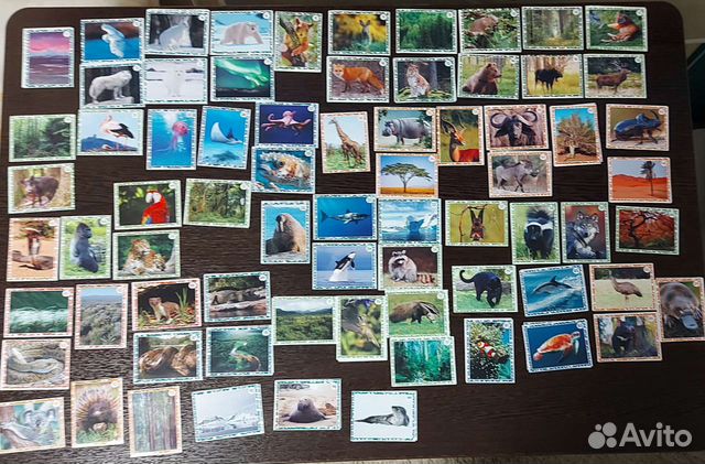 Наклейки Живая планета 4D, продажа