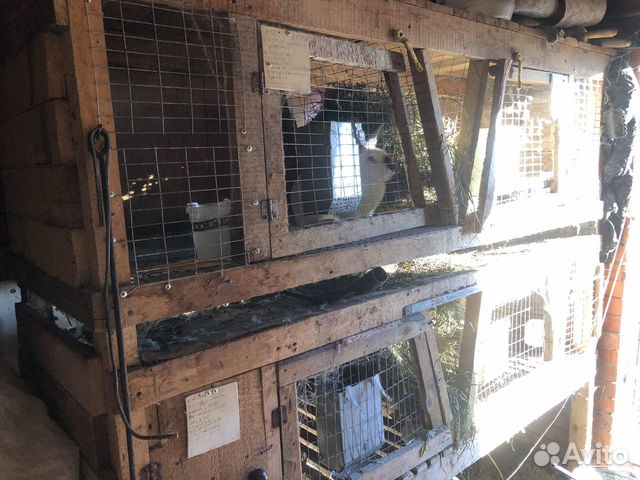 Клетка для кролика