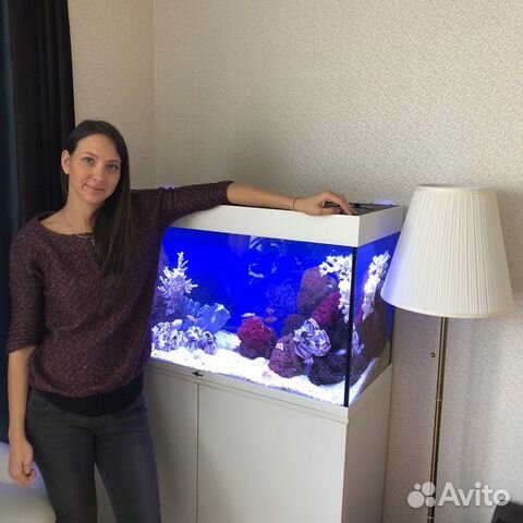 Обслуживание аквариумов