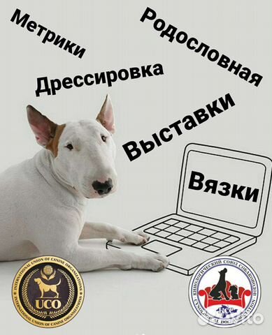 Документы для Вашей собаки