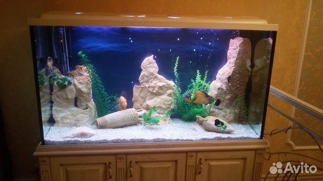 Обслуживание Аквариумов