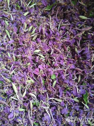 Цветы иван-чая (кипрей), 50г