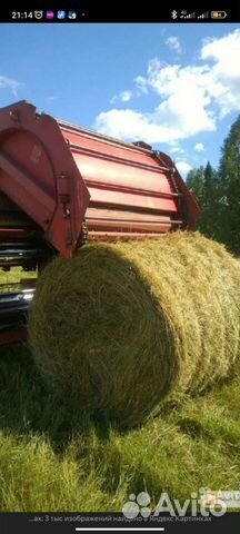 Продам сено в рулонах