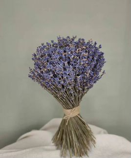 Букет из лаванды