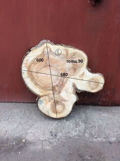 Торцевые спилы деревьев