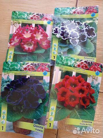 Гипсофилы в шляпной коробке. Цветы