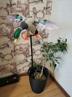 Чучело Утки Махокрыл