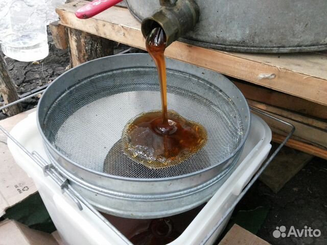 Продам мед 2023