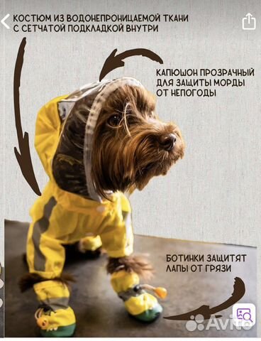Дождевик для собаки мелких пород. Размер М