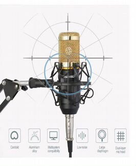 Микрофон студийный