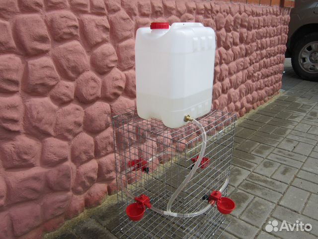 Автопоилка для кур (напольная)