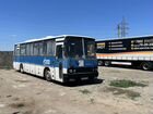 Междугородний / Пригородный автобус Ikarus 256, 2001