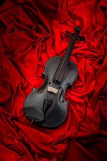 Живая скрипка на ваши торжества мероприятие