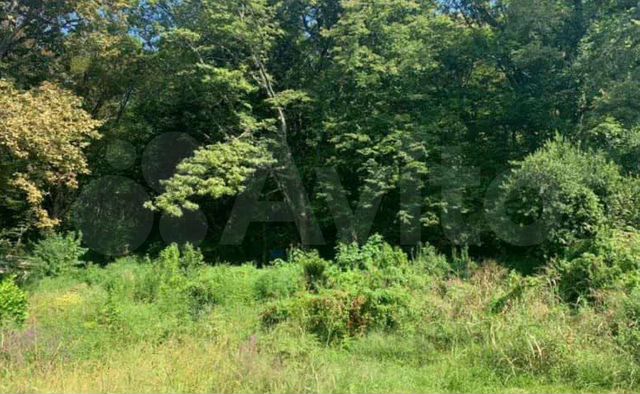 Участок 4,2 сот. (СНТ, ДНП)