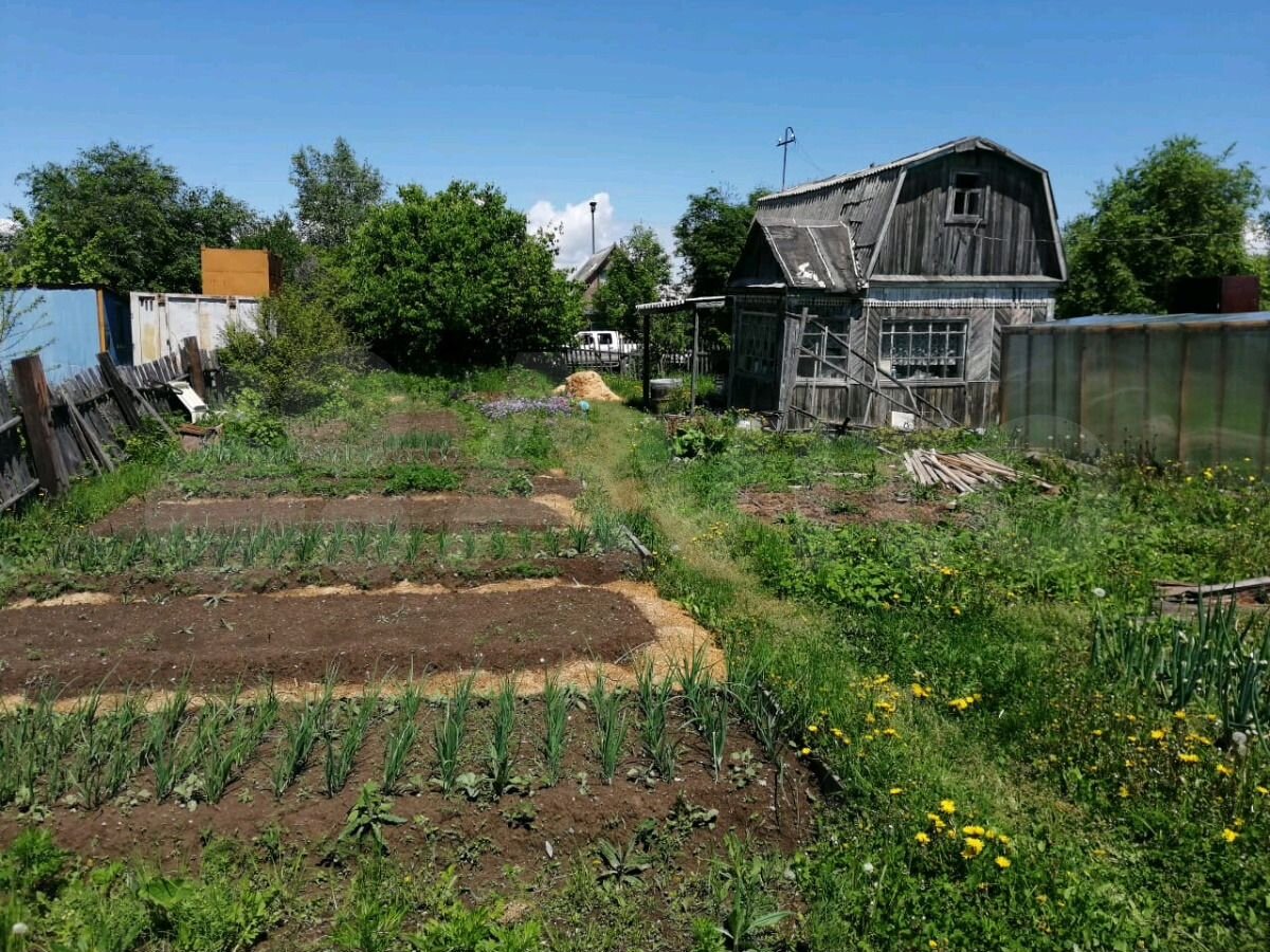 Металлист дачи. Дача в Комсомольске на Амуре. Дачи Комсомольск на Амуре для начинающих. Комсомольск дачи Металлист фото.