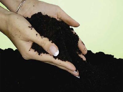 Черногрунт