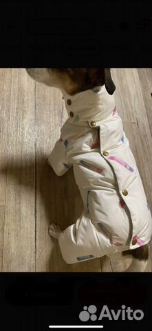 Комбнезон дл собаки типа мопса, бульдога (девочки)