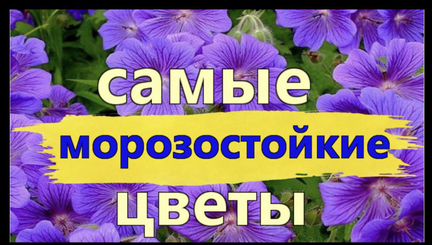 Многолетние цветы