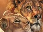 Картина по номерам «Лев и львица»
