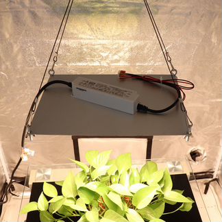 Фитосветильник Quantum Board 60 Вт + 660nm Epistar