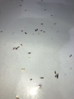 Бомбочки для ванны самодельные