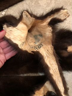 Шкурки норки