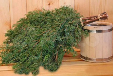 Веники можжевельник