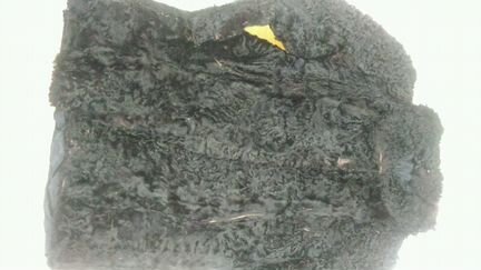 Шубы мутон нутрия сурок каракуль под реставрация