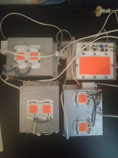 Фитолампы для растений полногого спектра.100 реаль