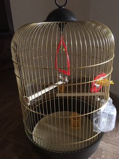 Клетка для птиц