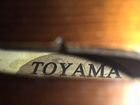 Скрипка Toyama 3/4 объявление продам