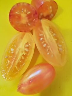 Семена сотовых томатов сорт Блуш