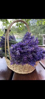 Лаванда букет