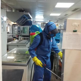 Уничтожение мышей, крыс, кротов