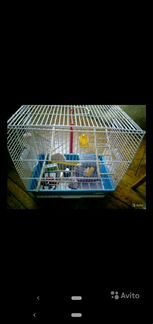 Клетка для птиц