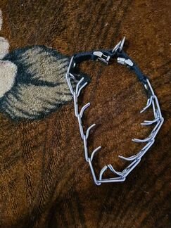 Строгий ошейник для собак крупных пород